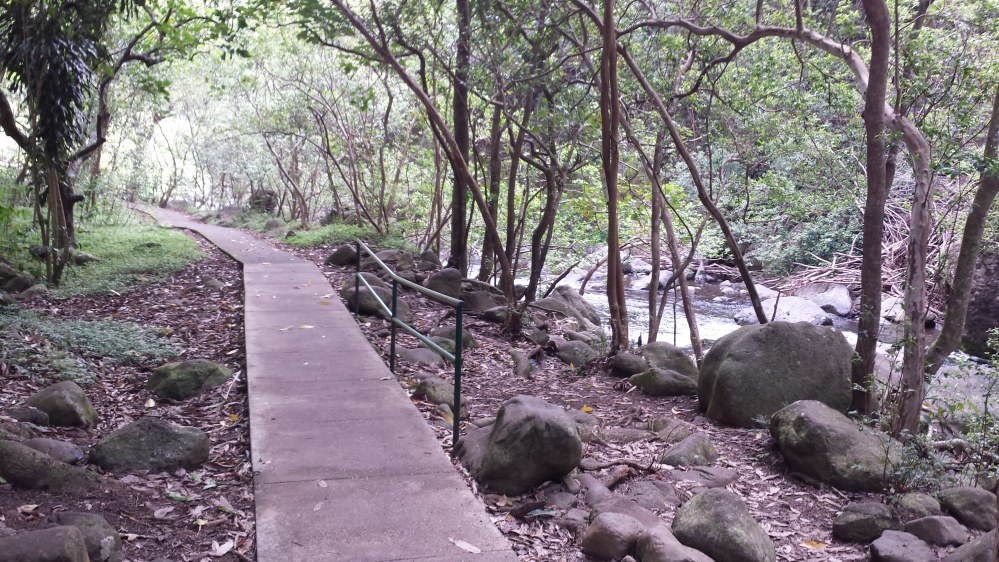 20150418_080945.jpg